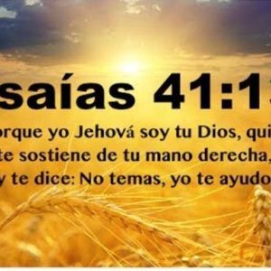 Meet your Posher, Ericka